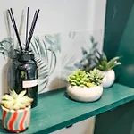 Apartment Jungle - 2p A 4p -henriville Amiens
