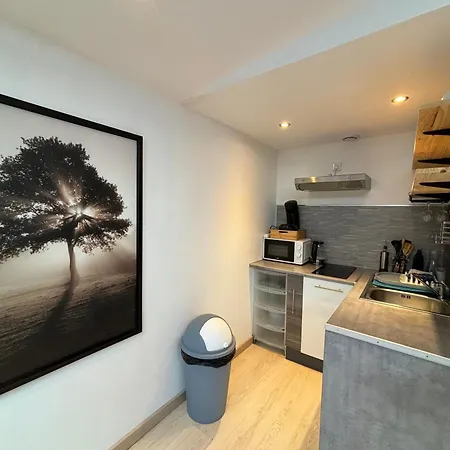 Apartment Jungle - 2p A 4p -henriville Amiens