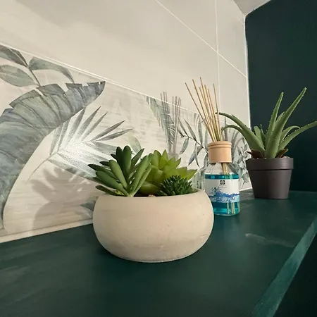 Apartment Jungle - 2p A 4p -henriville