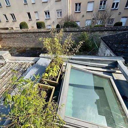 Jungle Amiens