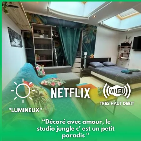 Apartment Jungle - 2p A 4p -henriville
