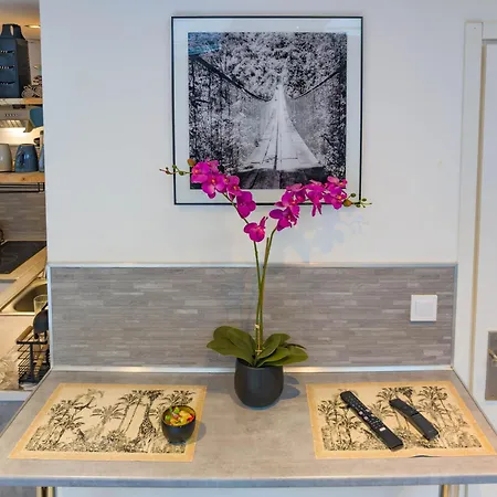 Jungle - 2p A 4p -henriville *