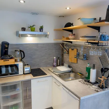 Jungle - 2p A 4p -henriville Apartament *