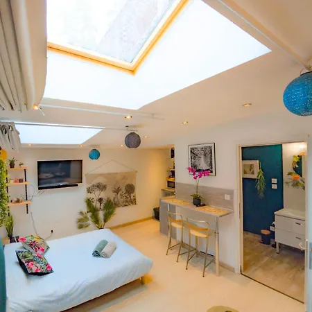 Jungle - 2p A 4p -henriville * Amiens