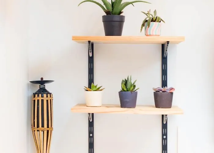 Jungle - 2p A 4p -henriville Амьен