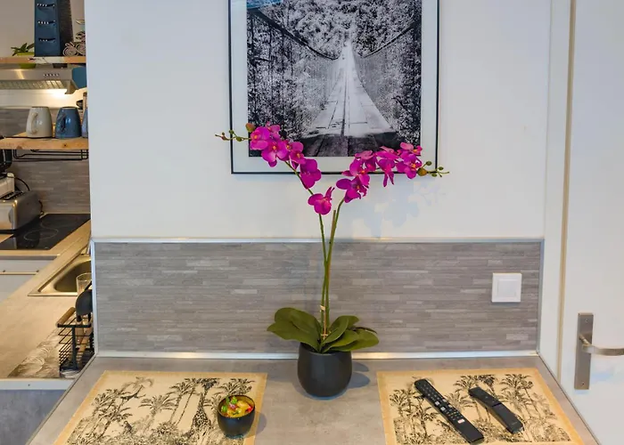 Jungle - 2p A 4p -henriville *